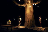 かえりみちの木