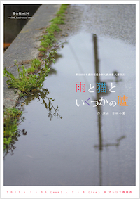 雨と猫といくつかの嘘