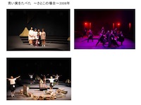 青い実をたべたーさと子の場合ー