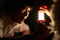 少年はニワトリと夢を見る