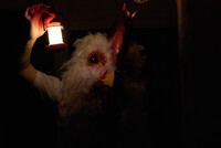 少年はニワトリと夢を見る